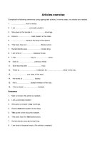 English Articles exercise