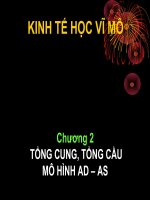 mô hình toán kinh tế
