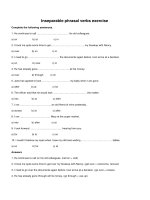 Inseparable phrasal verbs exercise