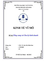 Tiểu luận kinh tế vi mô Tổng cung và Chu kỳ kinh doanh