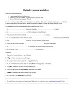 Collective nouns worksheet
