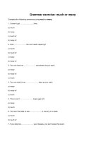 Grammar exercise much or many