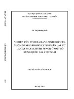 Nghiên cứu tính đa dạng sinh học của nhóm nấm Hyphomycetes phân lập từ lá cây mục (litter fungi) ở một số rừng Quốc gia Việt Nam