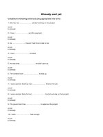 English :Already and yet