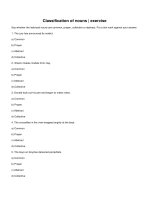 Classification of nouns  exercise