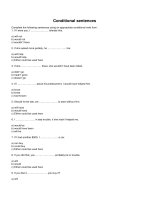 Conditional sentences