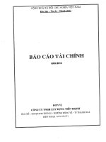 BÁO CÁO TÀI CHÍNH CÔNG TY XÂY DỰNG TIẾN THỊNH