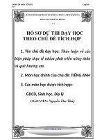 hồ sơ dự thi theo chủ đề tích hợp thảo luận về các biện pháp thực tế nhằm phát triển nông thôn và quê hương em