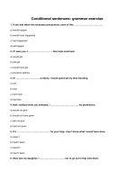 Conditional sentences grammar exercise