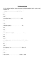 English Articles exercise (2)