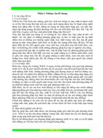 SKKN các phương pháp giải một bài giải phương trình vô tỉ