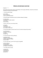 Idioms and phrases exercise