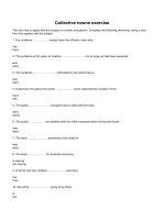 Collective nouns exercise