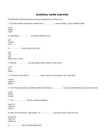Auxiliary verbs exercise