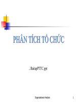tài liệu PHÂN TÍCH tổ CHỨC