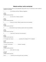 Modal auxiliary verbs worksheet