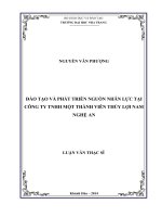 Đào tạo và phát triển nguồn nhân lực tại công ty TNHH một thành viên thủy lợi nam nghệ an