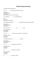 Perfect tenses exercise