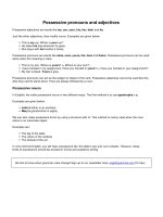 Possessive pronouns and adjectives