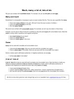 Much many a lot of lots of etc