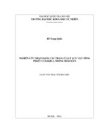 Nghiên cứu nhận dạng các trận lũ lụt lưu vực sông pôkô và đăkbla trong hologen