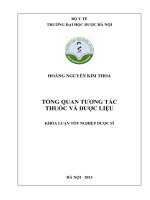 Tổng quan tương tác thuốc và dược liệu