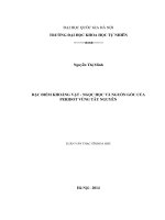 Đặc điểm khoáng vật   ngọc học và nguồn gốc của peridot vùng tây nguyên