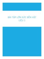 Bài tập lớn SBVL 1
