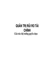 cấu trúc thị trường tuyển chọn