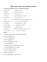 Much many some any grammar exercise
