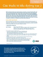 Các thuốc điều trị đái tháo đường type 2