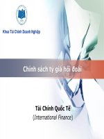 Chính sách tỷ giá hối đoái