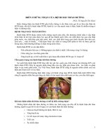 Biến chứng thận của bệnh nhân đái tháo đường