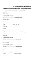 Present perfect or simple past