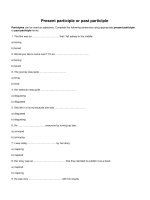 Present participle or past participle