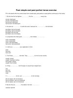 Past simple and past perfect tense exercise