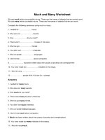 Much and many worksheet