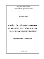 Nghiên cứu thành phần hóa học và khảo sát hoạt tính sinh học loài cầu gai Diadema Savignyi