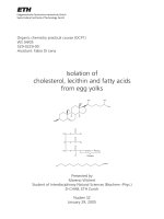 Chiết xuất cholesterol, lecithin và các acid béo từ lòng đỏ trứng