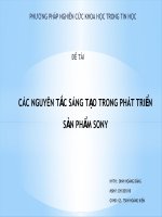 Thuyết trình Các nguyên tắc sáng tạo trong phát triển sản phẩm sony