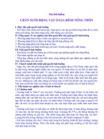 CHĂN NUÔI ĐỘNG VẬT Ở GIA ĐÌNH NÔNG THÔN