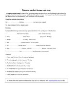 Present perfect tense exercise