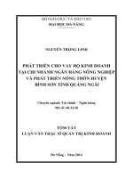 Phát triển cho vay hộ kinh doanh tại chi nhánh ngân hàng Nông Nghiệp và phát triển Nông Thôn huyện Bình Sơn tỉnh Quảng Ngãi.