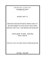 Kiểm soát rủi ro tín dụng trong cho vay doanh nghiệp tại ngân hàng TMCP công thương Việt Nam, chi nhánh Ngũ Hành Sơn