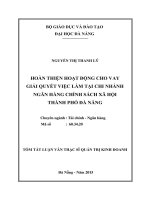Hoàn thiện hoạt động cho vay giải quyết việc làm tại chi nhánh ngân hàng chính sách xã hội Thành Phố Đà Nẵng