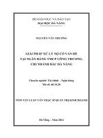 Giải pháp xử lý nợ có vấn đề tại ngân hàng TMCP công thương, chi nhánh Bắc Đà Nẵng