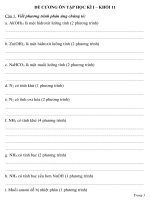 Đề cương ôn tập học kì I - khối 11