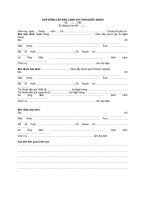 HỢP ĐỒNG CẤP BẢO LÃNH VAY VỐN NƯỚC NGOÀI