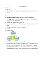 các yếu tổ ảnh hưởng đến năng lực cạnh tranh của Công ty cổ phần Traphaco