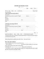 HỢP ĐỒNG THỰC HIỆN ĐẦU TƯ DỰ ÁN CÓ SỬ DỤNG ĐẤT